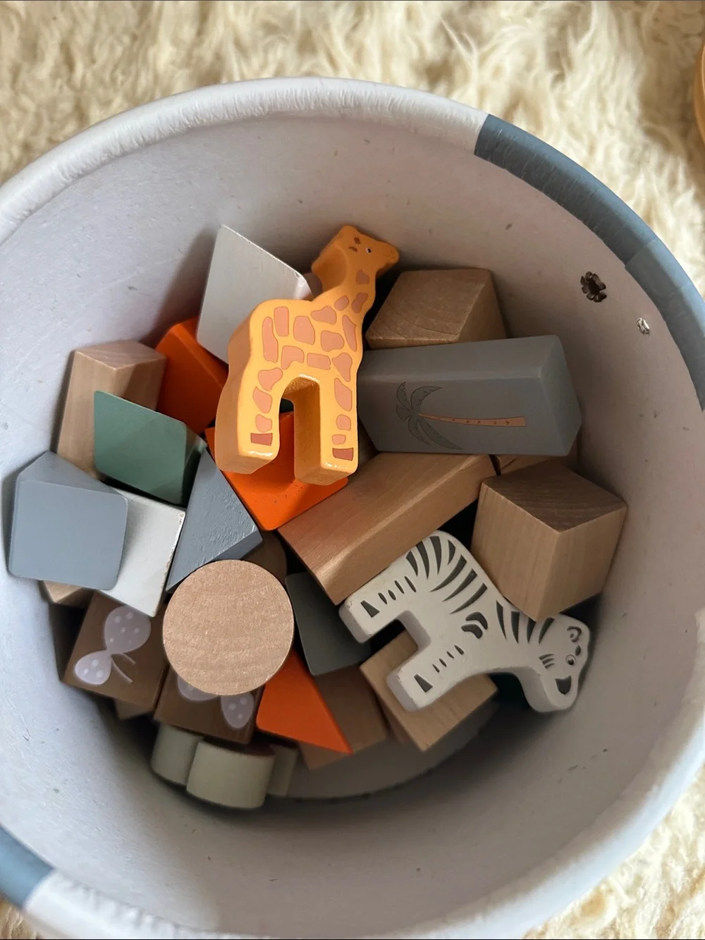 Safari Animal Wooden Block set